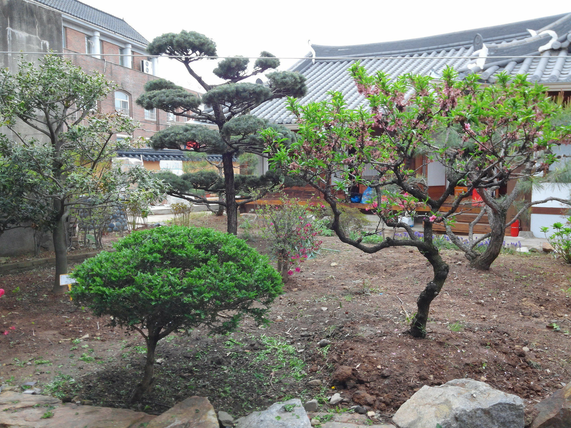 Sodamwon Jeonju Buitenkant foto