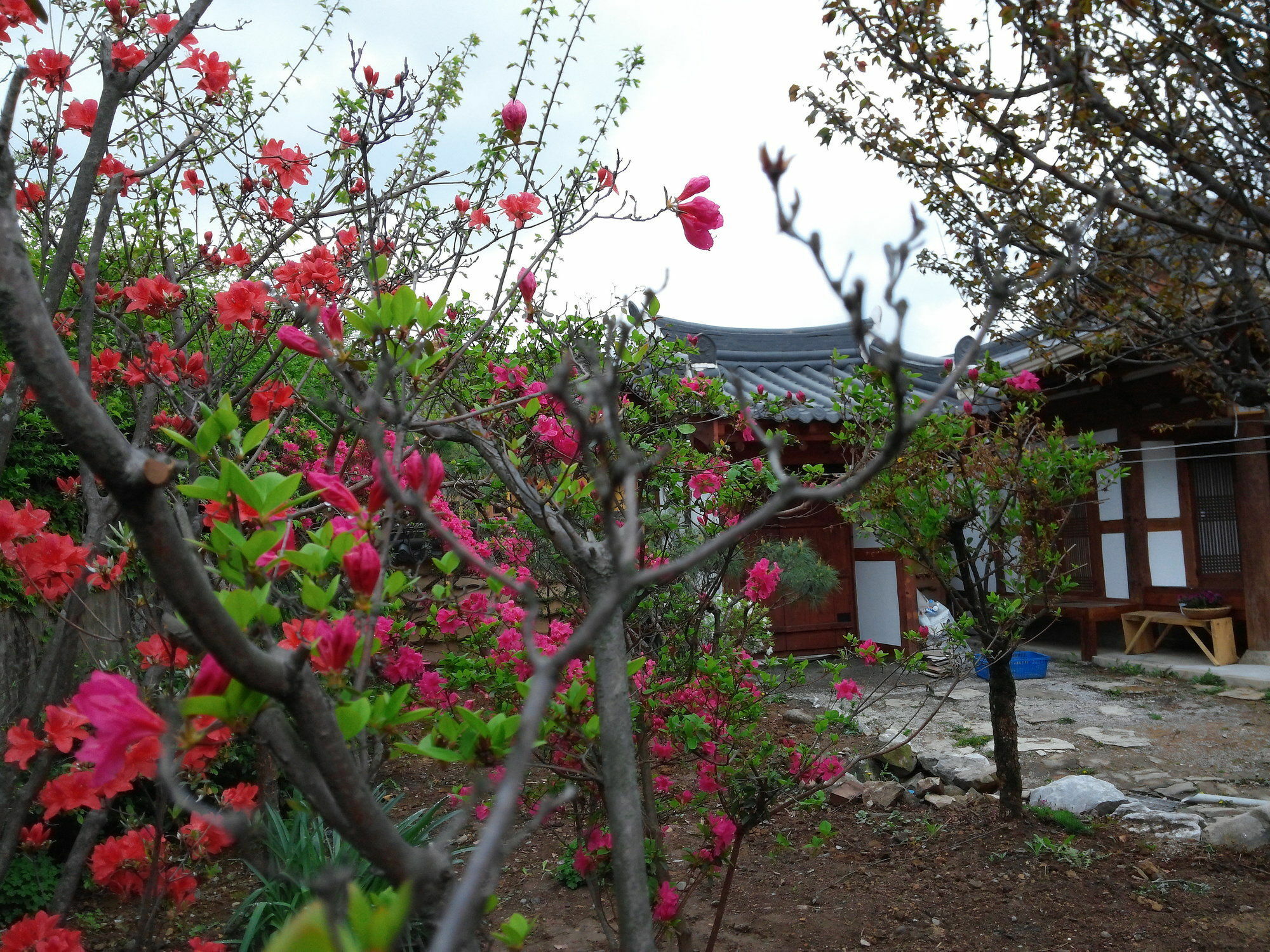 Sodamwon Jeonju Buitenkant foto