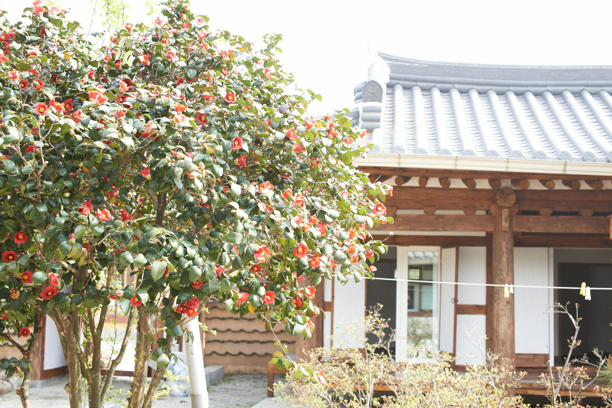 Sodamwon Jeonju Buitenkant foto