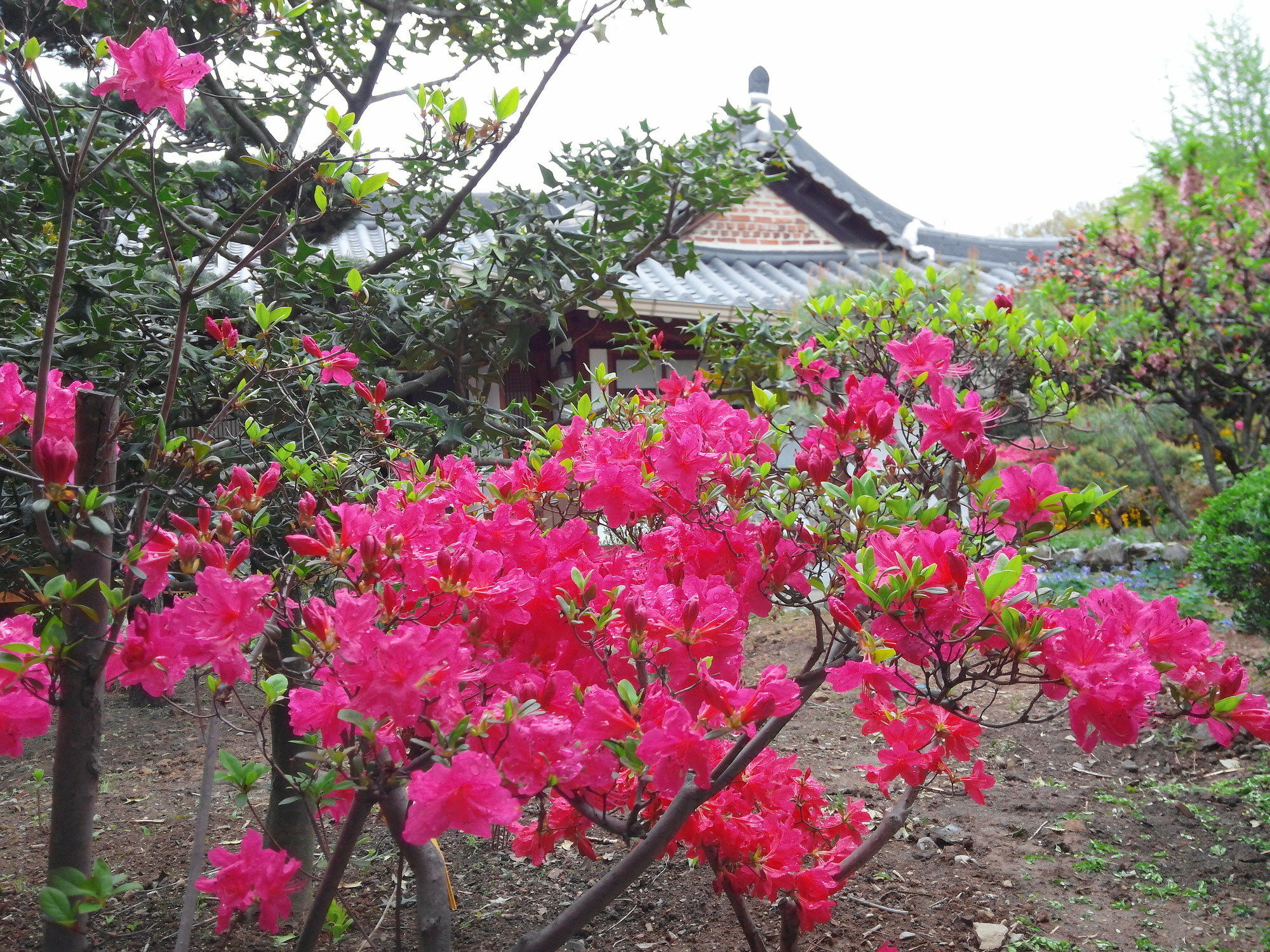 Sodamwon Jeonju Buitenkant foto